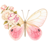 Ely Hernández — mariposa rosa con flores marfil